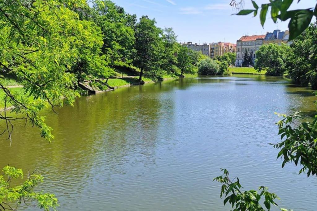 Parkowy Apartament Daire Wroclaw Dış mekan fotoğraf