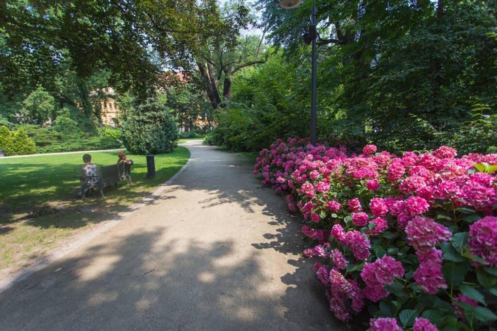 Parkowy Apartament Daire Wroclaw Dış mekan fotoğraf